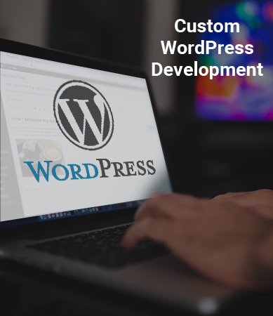WordPress Customization Work